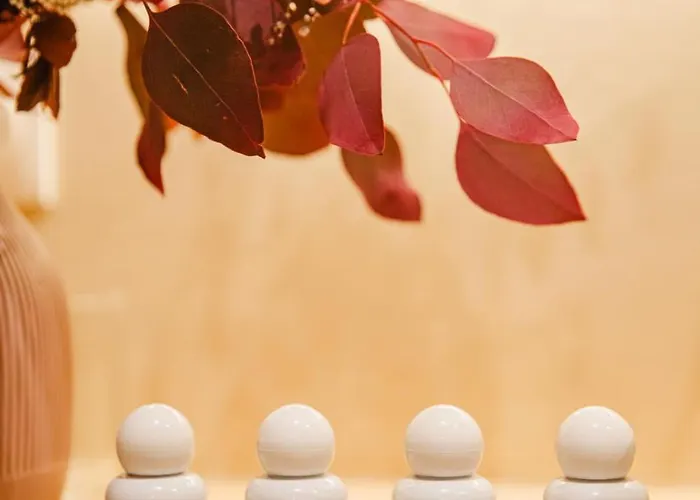 Le Morny Palace - Hyper Centre * Deauville