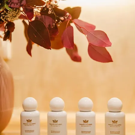 Le Morny Palace - Hyper Centre * Deauville